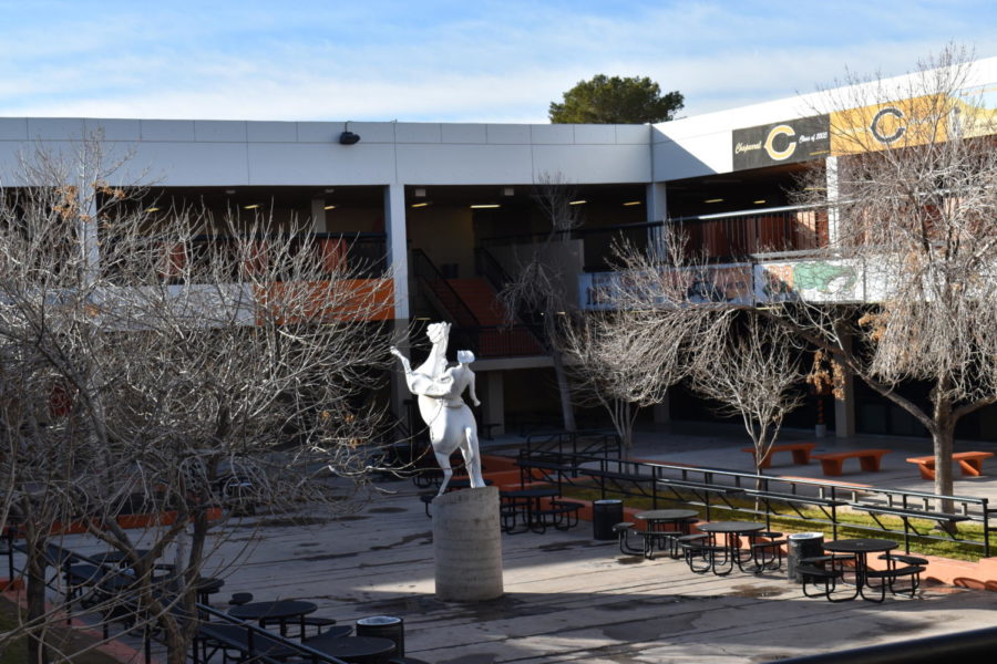 Soon the trees in the quad will be bright and green.